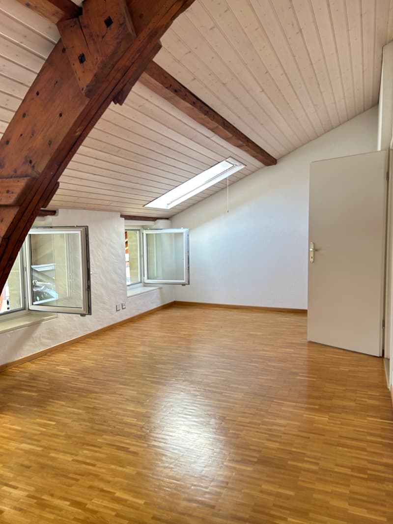 Magnifique villa de 8.5 pièces à Chigny (5)