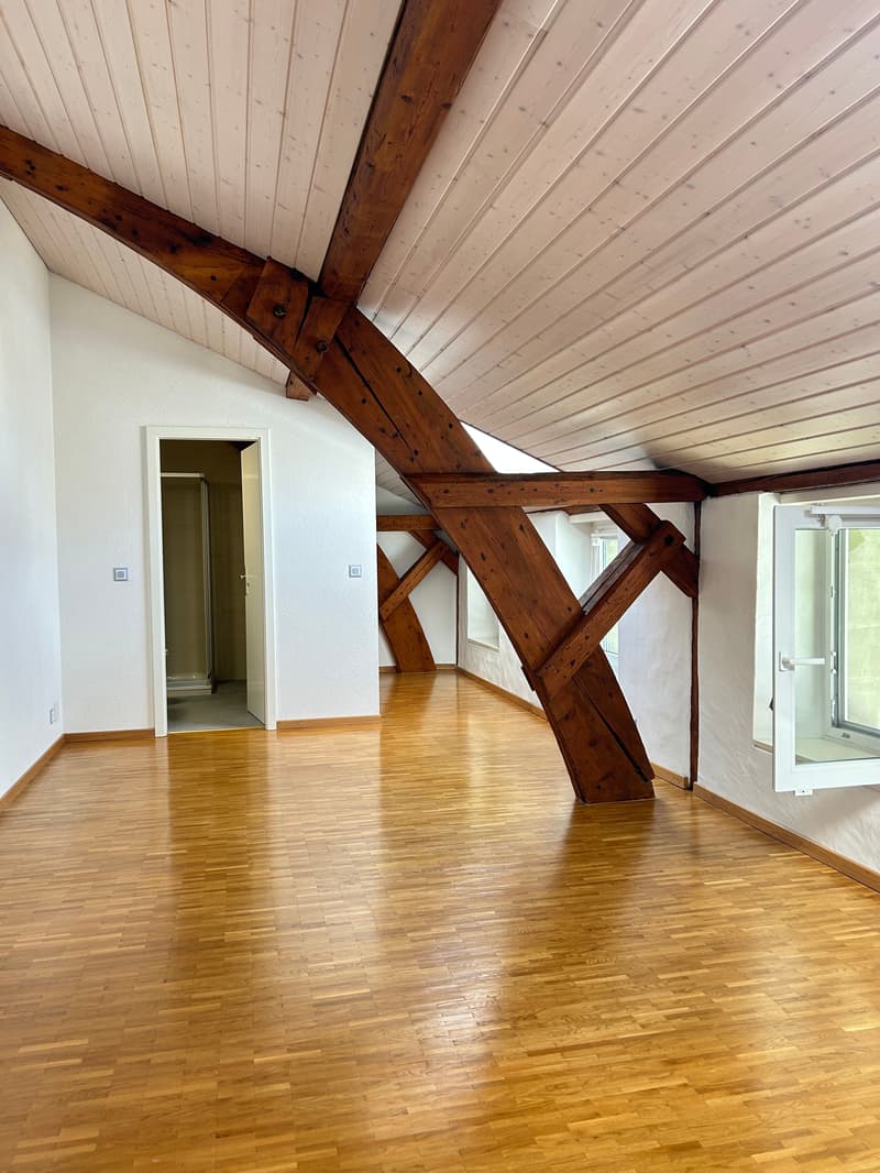 Magnifique villa de 8.5 pièces à Chigny (6)