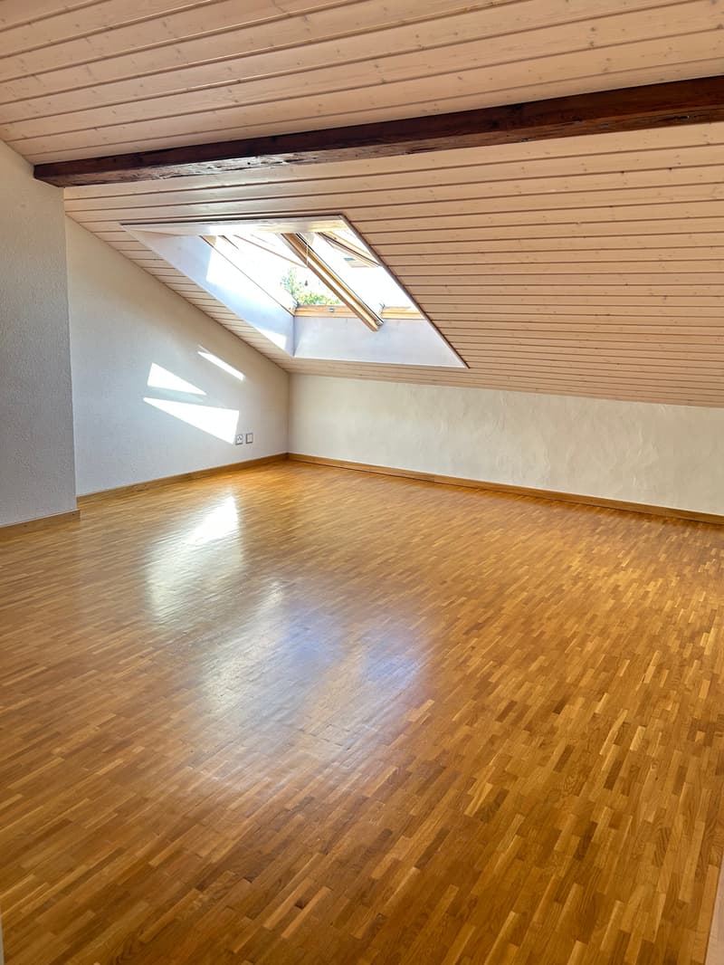 Magnifique villa de 8.5 pièces à Chigny (3)