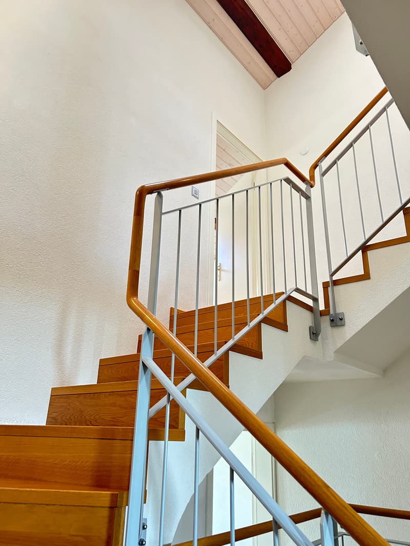 Magnifique villa de 8.5 pièces à Chigny (11)
