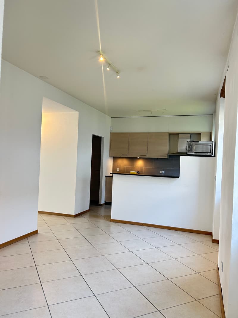 Magnifique villa de 8.5 pièces à Chigny (18)