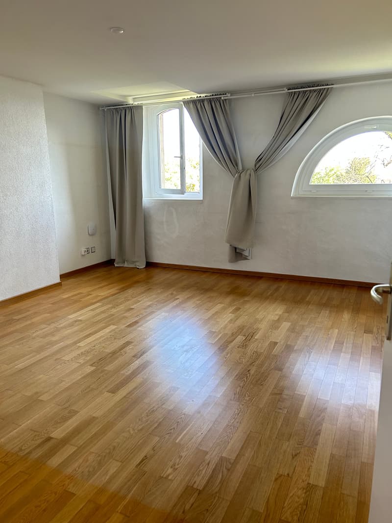 Magnifique villa de 8.5 pièces à Chigny (12)