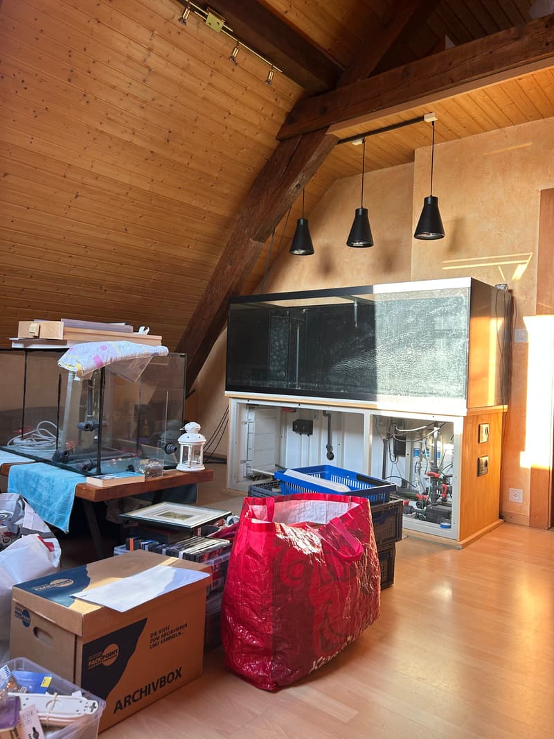 Appartement de 3 pièces avec mezzanine à Saint-Prex (7)