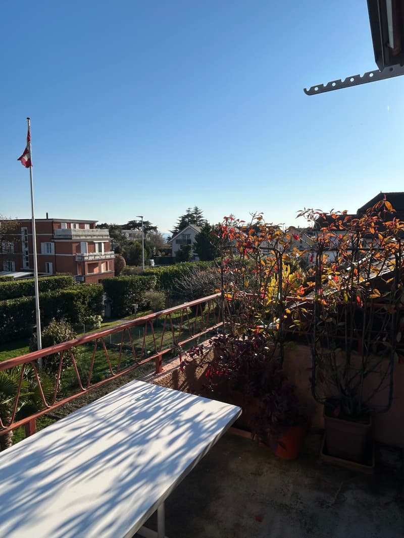 Appartement de 3 pièces avec mezzanine à Saint-Prex (9)
