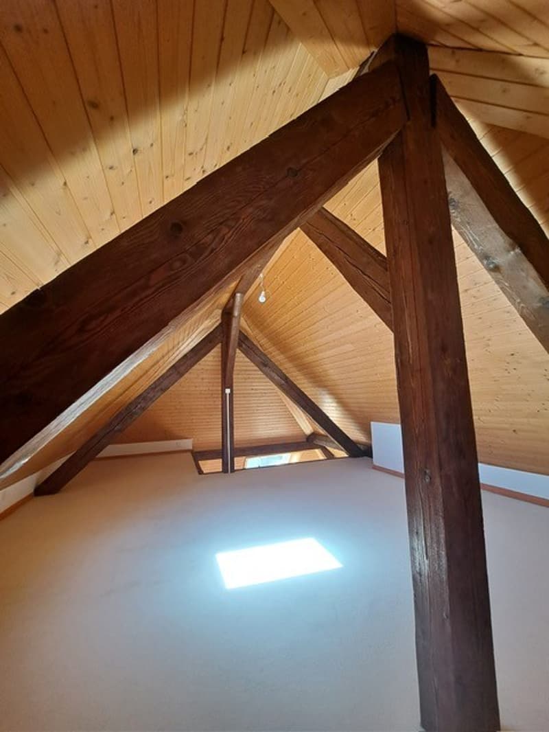 Appartement de 3 pièces avec mezzanine à Saint-Prex (4)