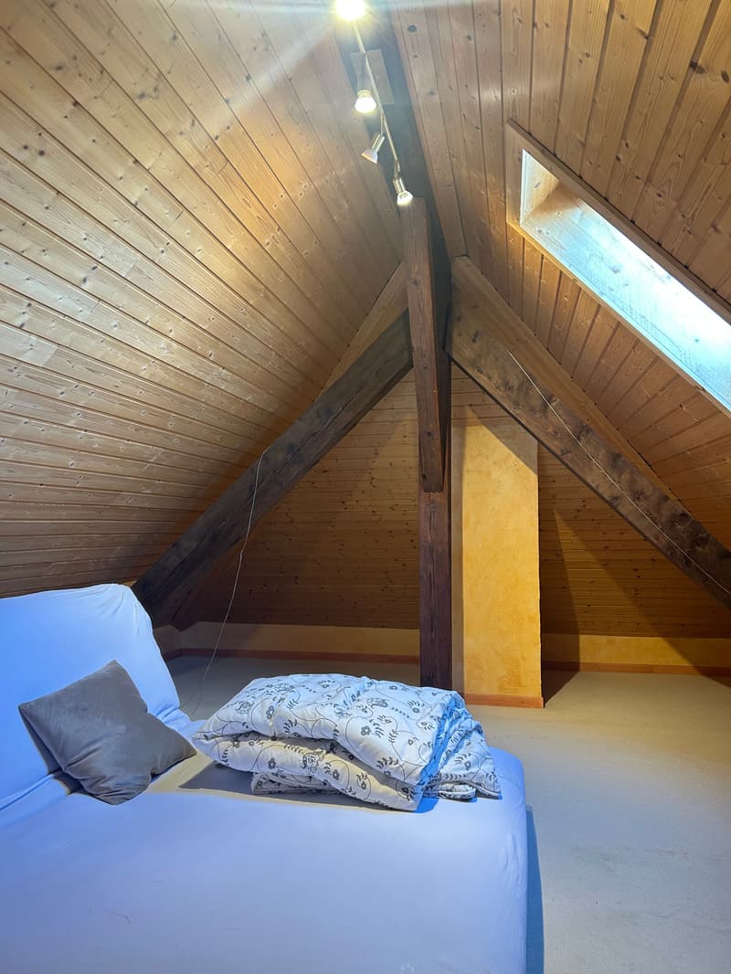 Appartement de 3 pièces avec mezzanine à Saint-Prex (5)