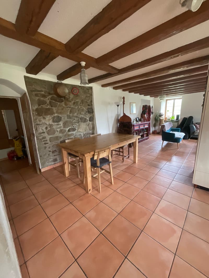 Charmante maison avec jardin privatif (2)