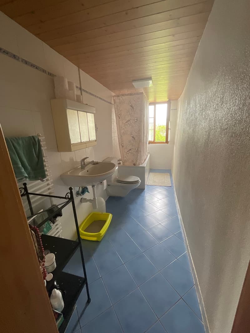 Charmante maison avec jardin privatif (9)