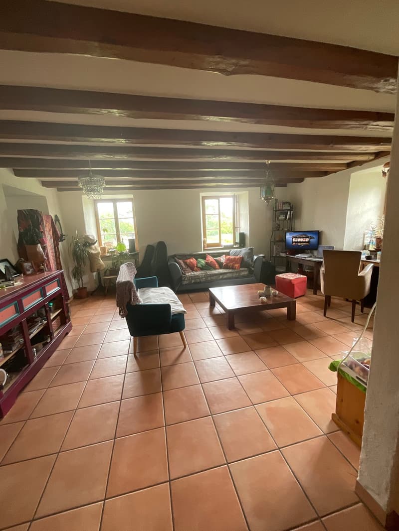 Charmante maison avec jardin privatif (3)