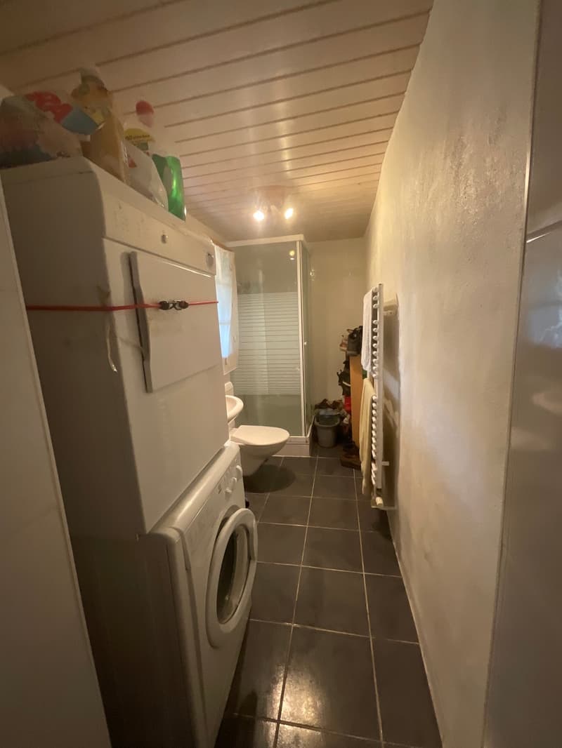 Charmante maison avec jardin privatif (6)