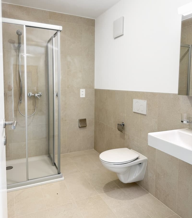 NOUVELLE CONSTRUCTION ! 3.5 pièces de charme (5)