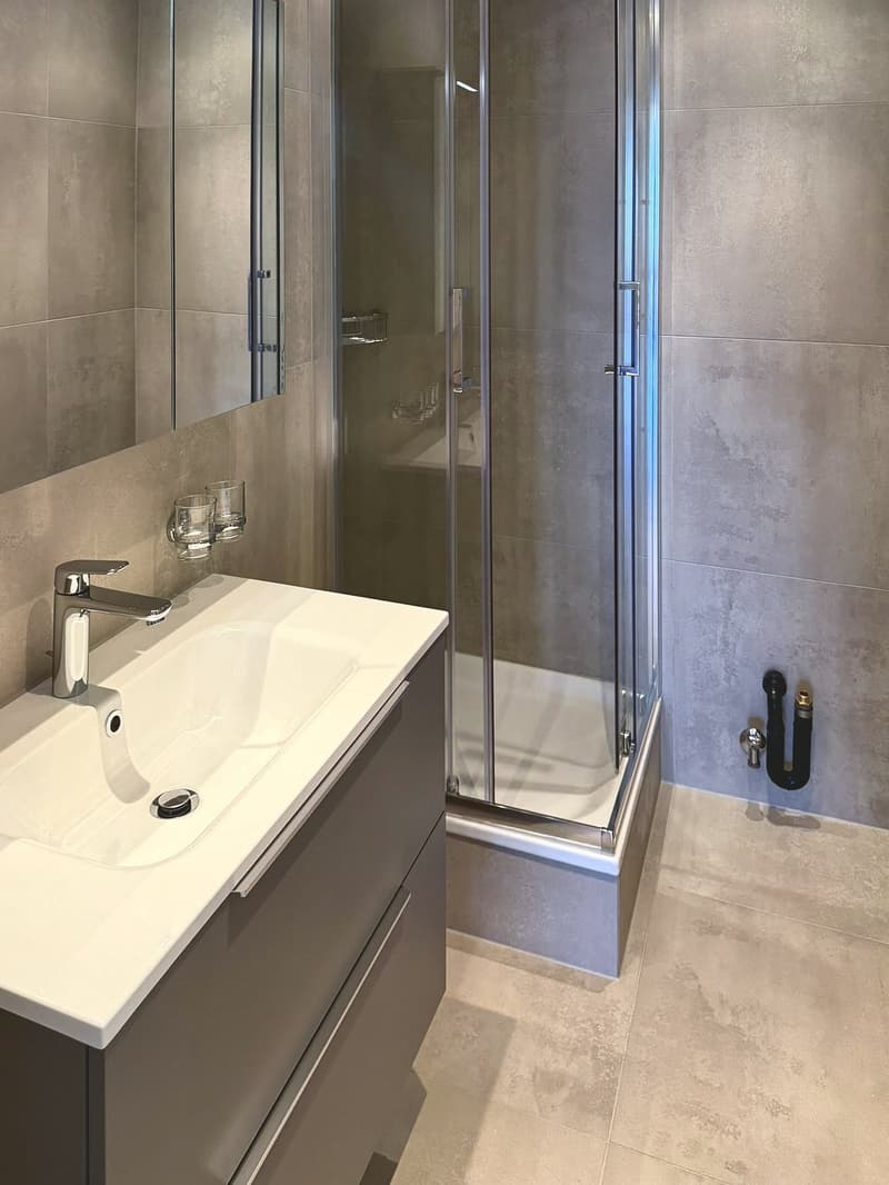 Appartement de 3.5 pièces avec piscine, entièrement rénové ! (7)