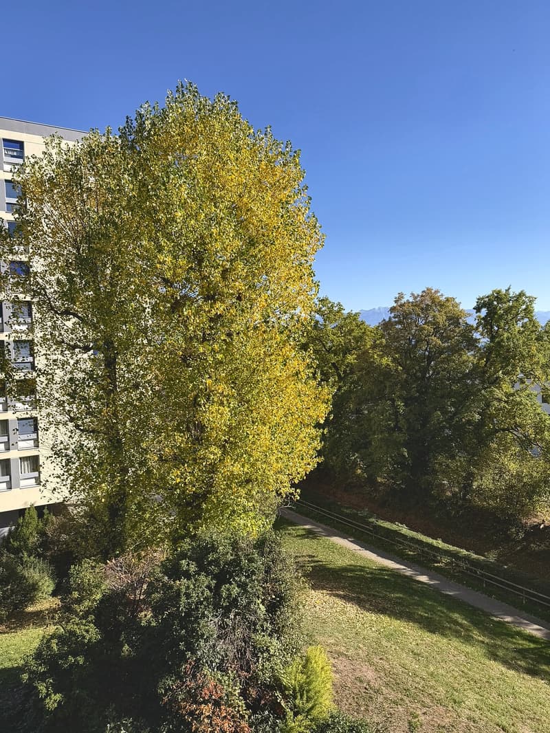 Appartement de 3.5 pièces avec piscine, entièrement rénové ! (12)