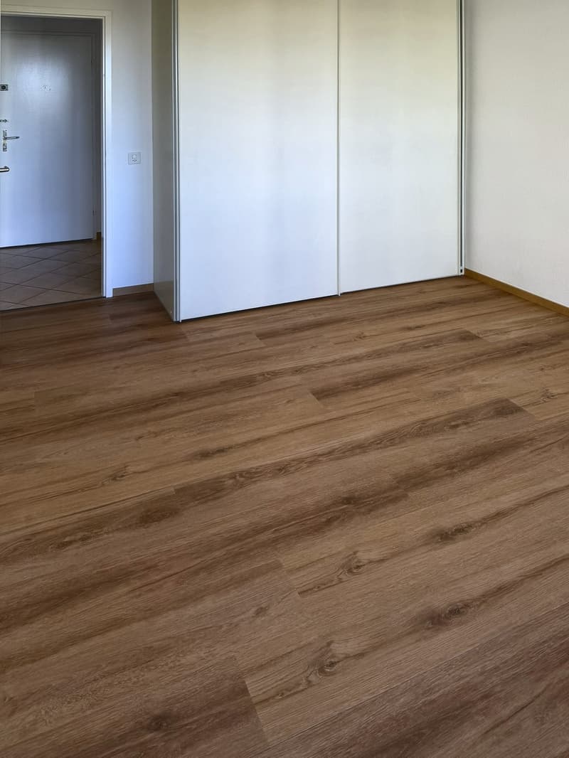 Appartement de 3.5 pièces avec piscine, entièrement rénové ! (6)