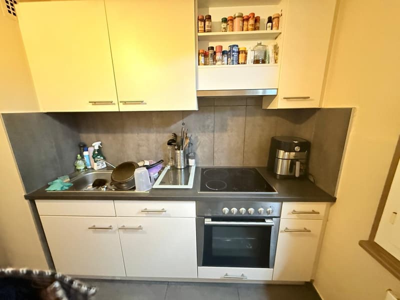 Appartement 3.5 pièces lumineux et au calme à Chêne-Bourg (3)