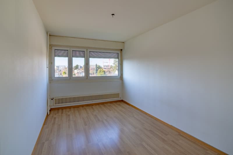 Charmant appartement de 3 pièces à Lancy (2)