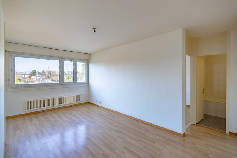 Charmant appartement de 3 pièces à Lancy (1)