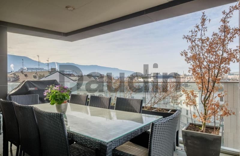 Attique de 7 pièces avec vue panoramique àCarouge (9)