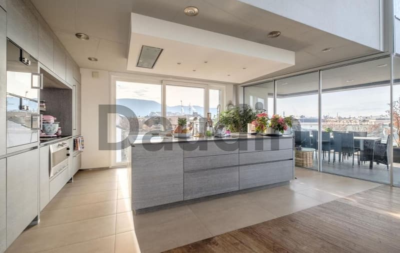 Attique de 7 pièces avec vue panoramique àCarouge (3)