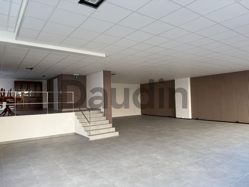 Magnifique arcade commerciale, située en plein centre des Pâquis (3)