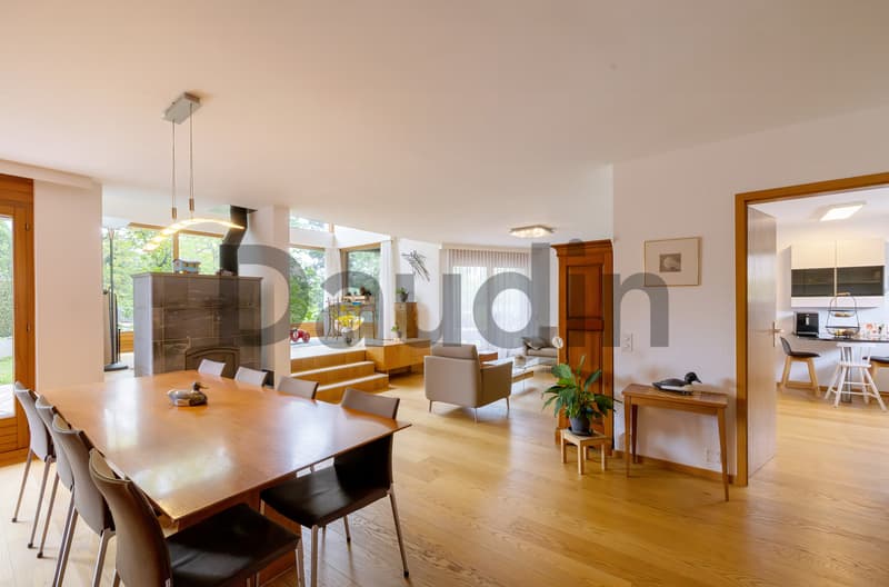 Maison individuelle de 9 pièces aux portes de Nyon (2)
