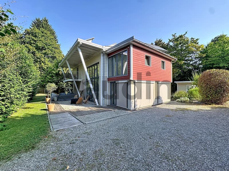 Magnifique villa individuelle au coeur de Vessy (3)