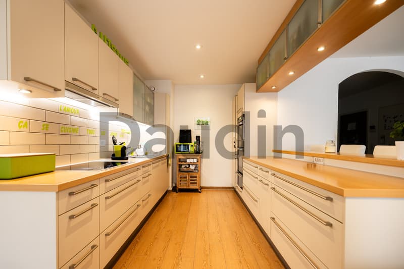 Appartement de 5 pièces avec terrasse (2)