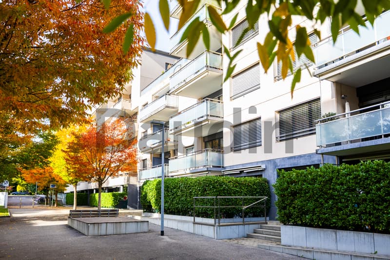 Appartement de 5 pièces avec terrasse (8)