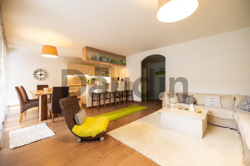 Appartement de 5 pièces avec terrasse (1)