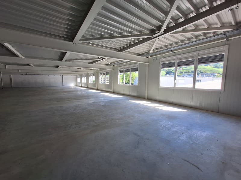 Empty warehouse, concrete floor, metal roof, large windows, bright sunlight, outdoor view