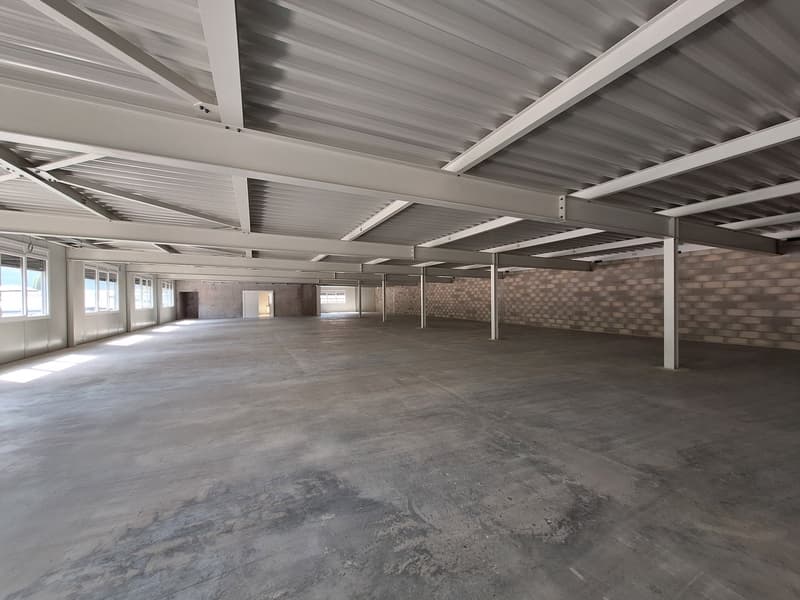 Empty room with concrete floor, white walls, metal roof with visible beams, large windows on one side, door at the end.