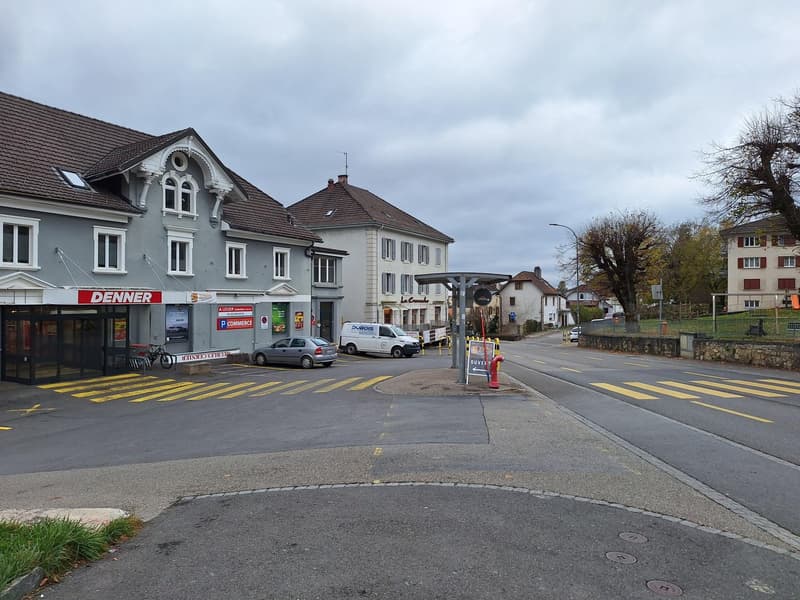 Corner building with shop, multiple cars parked, nearby street, fire hydrant, trees, street light.