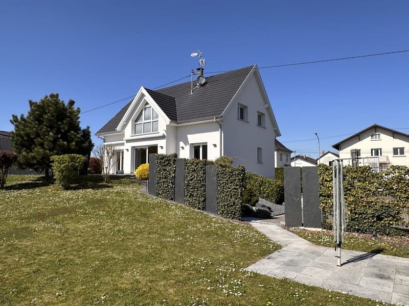 Magnifique maison contemporaine avec piscine à Kembs (3)