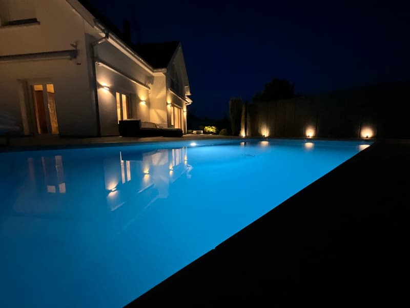 Magnifique maison contemporaine avec piscine à Kembs (7)