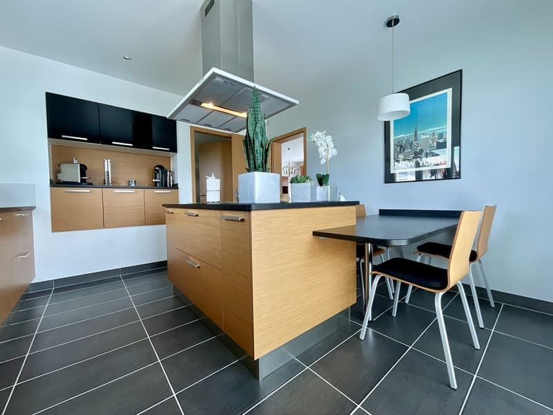 Magnifique maison contemporaine avec piscine à Kembs (14)