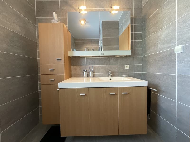 Magnifique maison contemporaine avec piscine à Kembs (27)