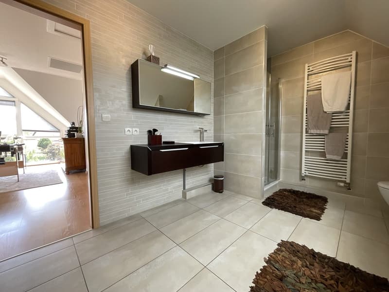 Magnifique maison contemporaine avec piscine à Kembs (26)