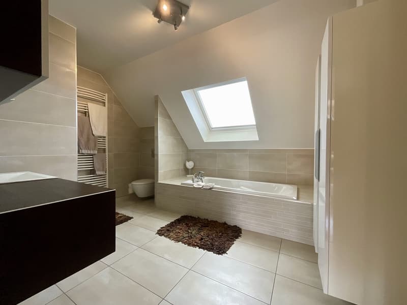 Magnifique maison contemporaine avec piscine à Kembs (23)