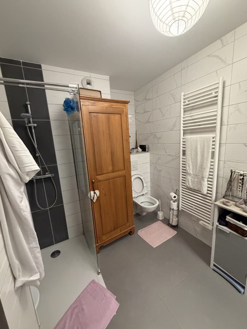 Hochwertige 2-Zimmer-Wohnung mit Terrasse, Garten und zwei Stellplätzen – Blotzheim (Frankreich) (6)
