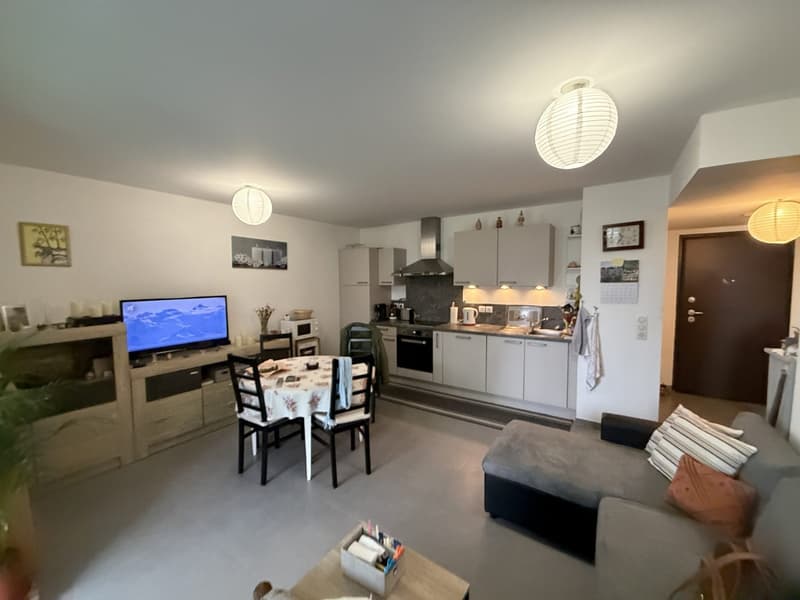 Hochwertige 2-Zimmer-Wohnung mit Terrasse, Garten und zwei Stellplätzen – Blotzheim (Frankreich) (3)