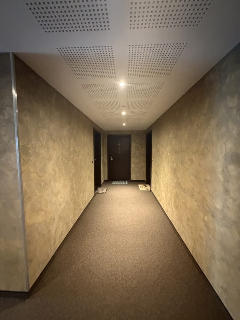 Hochwertige 2-Zimmer-Wohnung mit Terrasse, Garten und zwei Stellplätzen – Blotzheim (Frankreich) (9)