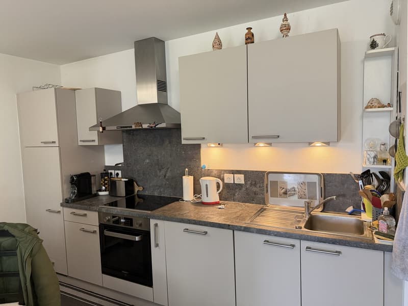 Hochwertige 2-Zimmer-Wohnung mit Terrasse, Garten und zwei Stellplätzen – Blotzheim (Frankreich) (4)