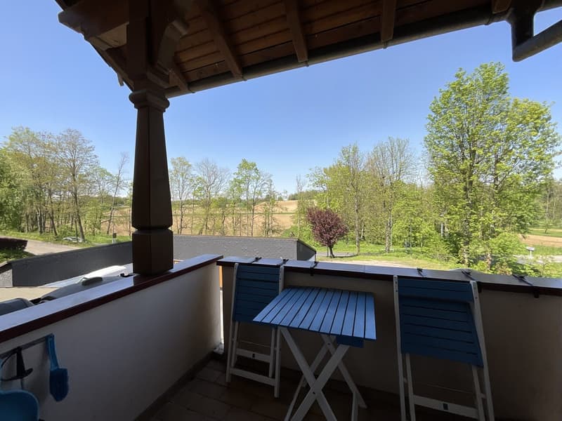 A 500m de Blotzheim à Michelbach-le bas (7)