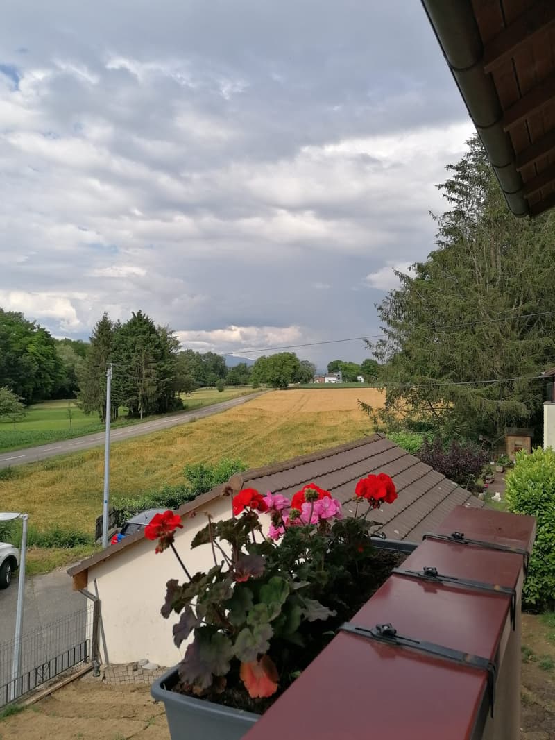 A 500m de Blotzheim à Michelbach-le bas (4)
