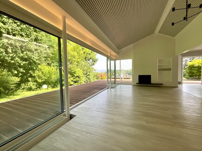 Zu verkaufen: Villa mit Panoramablick auf den Höhen von Hégenheim (4)
