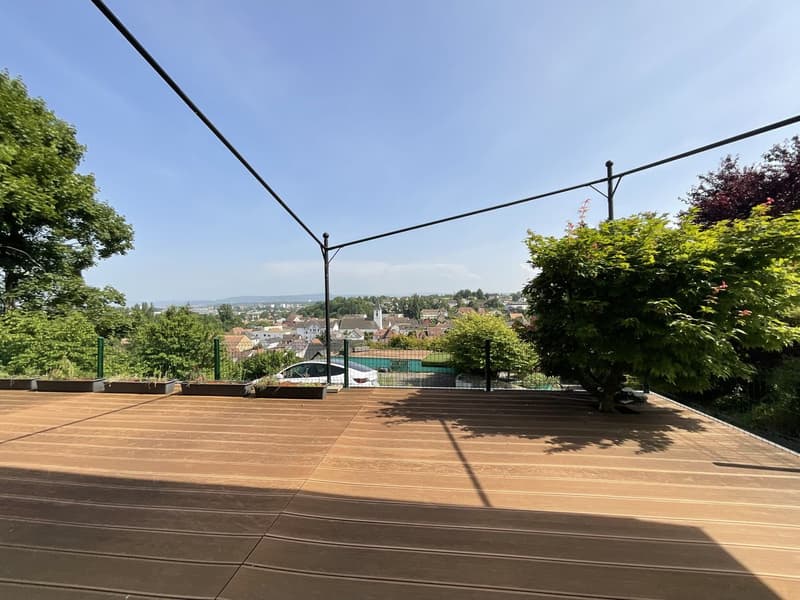 Zu verkaufen: Villa mit Panoramablick auf den Höhen von Hégenheim (52)