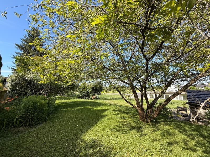 Terrain constructible à Hésingue (68220) (4)
