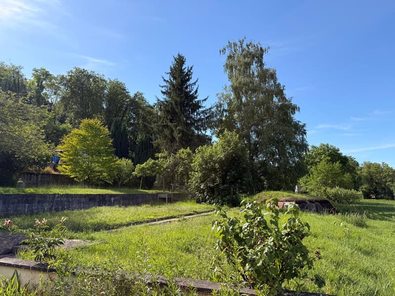 Terrain constructible à Hésingue (68220) (6)