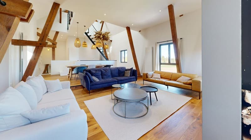 Außergewöhnliche Immobilie – 239 m², 15 Minuten von Basel entfernt (1)