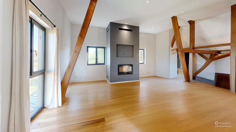 Außergewöhnliche Immobilie – 239 m², 15 Minuten von Basel entfernt (38)